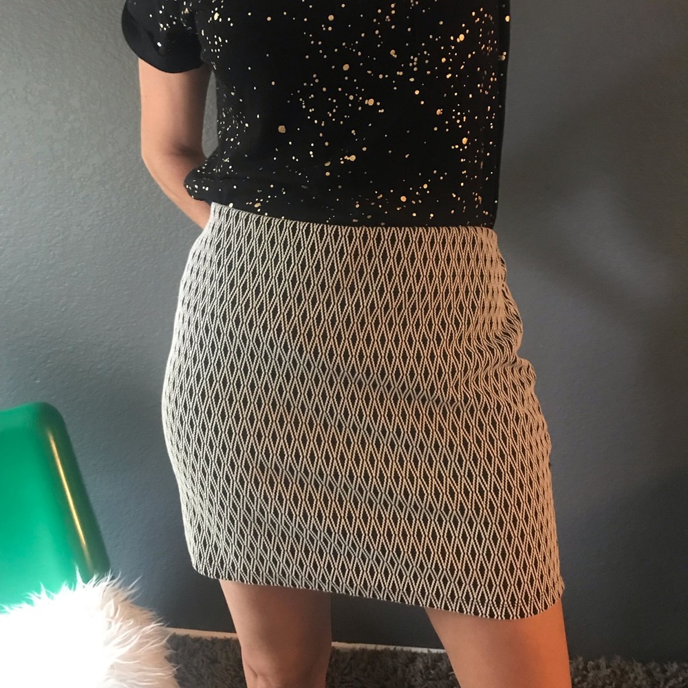 Amazing Zara Skirt size L.